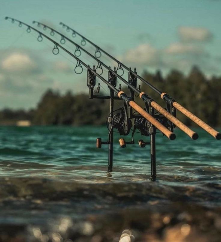 Hengelsport in Almelo