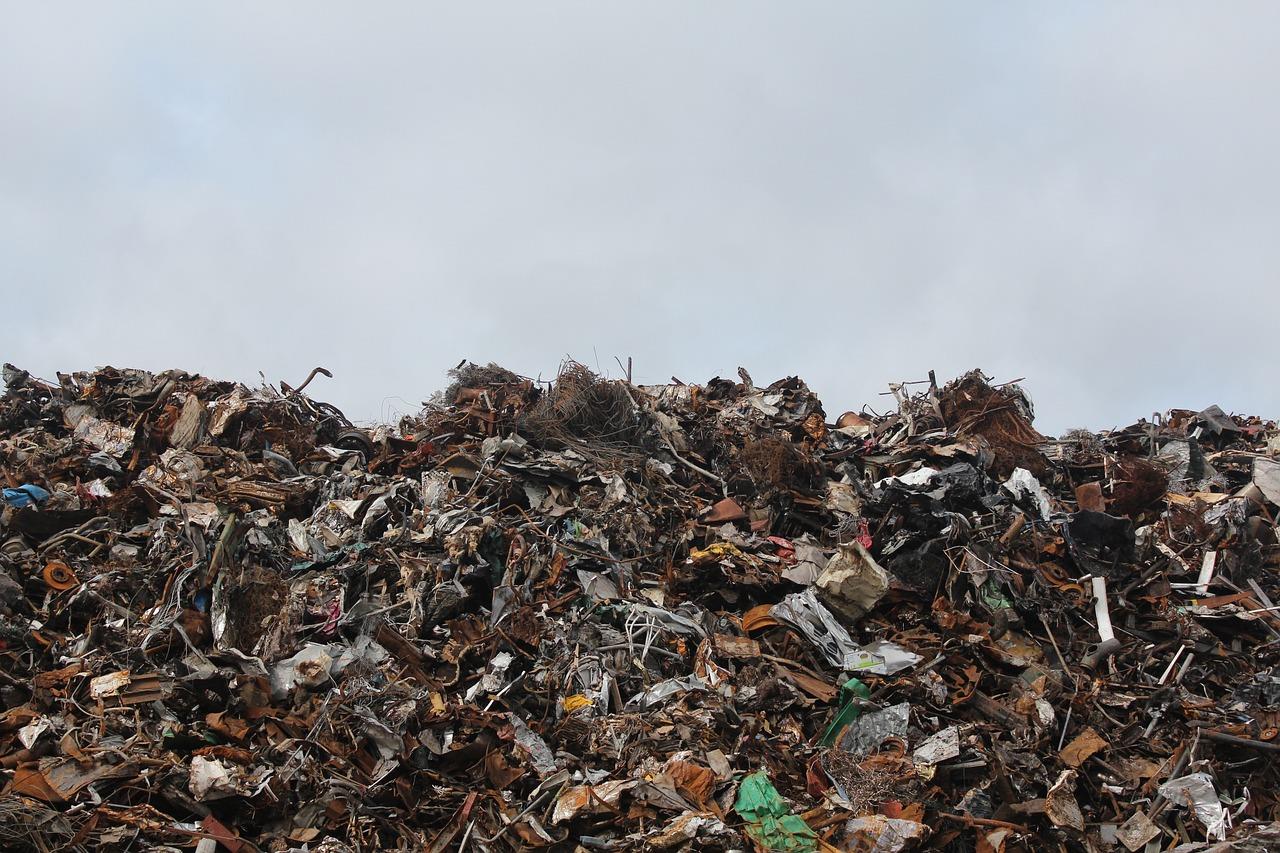 Dumpstore in Almelo