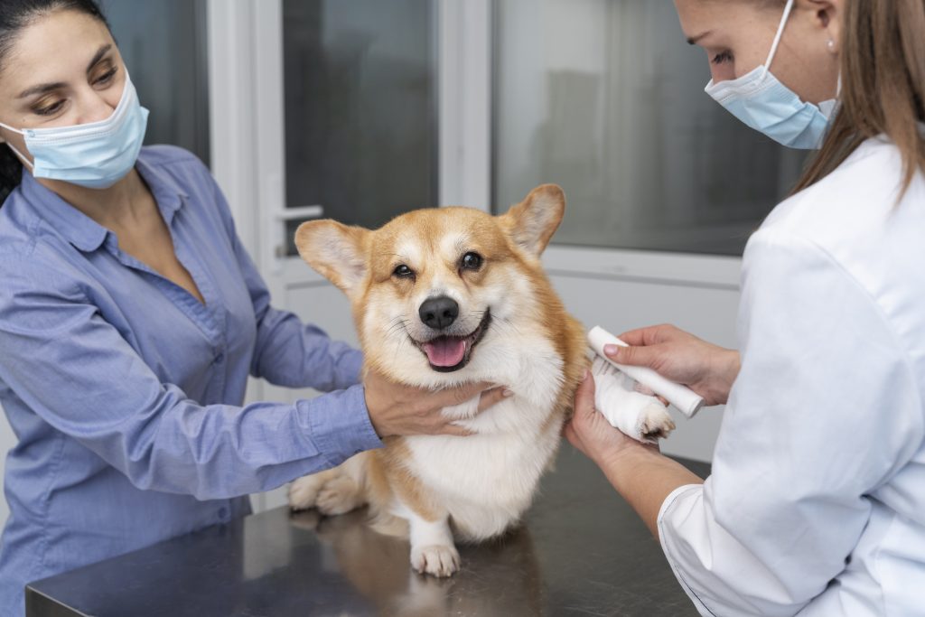 Dierenkliniek in Almelo